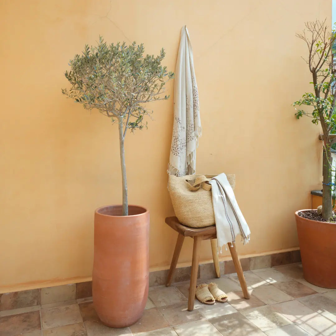 Turkish Towel, Tripolis